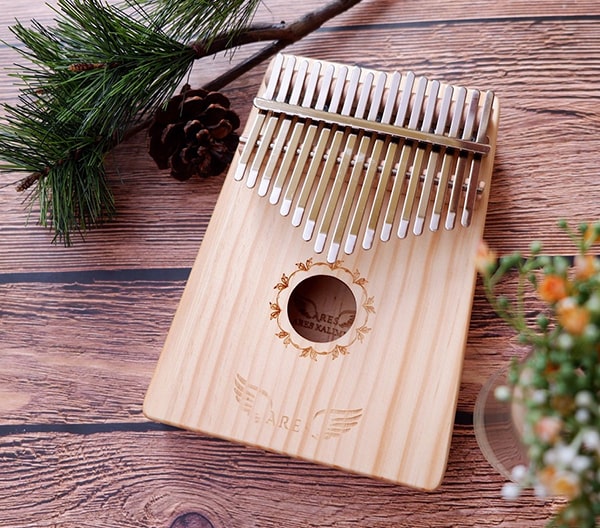 Quà tặng nhạc cụ